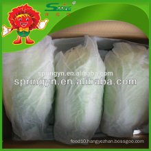 High Quality Fresh Organic Cabbages Big Green Cabbage